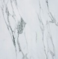 274-5047.jpg
