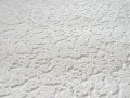 8203-1_4.JPG
