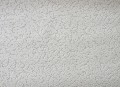 8203-10.jpg