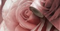 139521_1.jpg