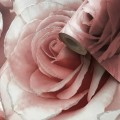 139521_2.jpg
