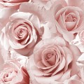 139521_4.jpg