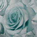 139523_3.jpg