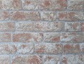 PL51038-25 (2).jpg