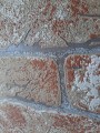 PL51038-25_2.jpg