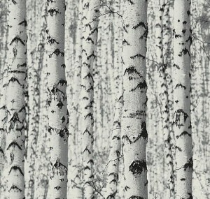 TAPETA BRZOZY 3D 38719-1 AS CREATION 24H 