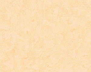 Tapeta ARCHIWUM AS 1230-39