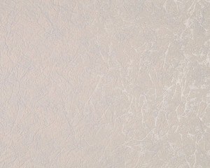 Tapeta ARCHIWUM AS 1920-73