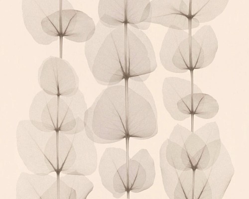 1c2911d3e61d217212fe28660ec82a96