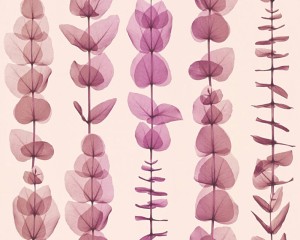 Tapeta X-RAY 34246-3