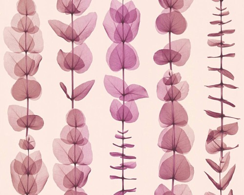 efde0547e7eb11f9e91a5d9ab6bd9aaa