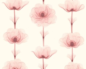 Tapeta X-RAY 34273-3