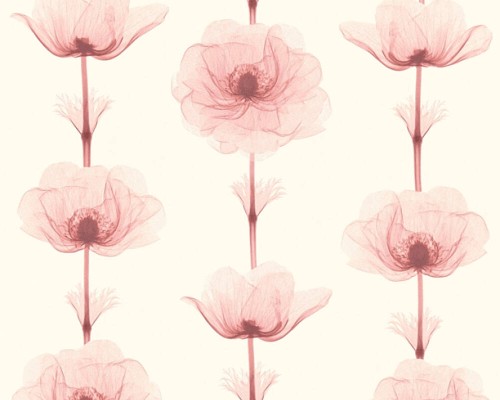 2fa7f1af9c610109a392ec4fe244c402