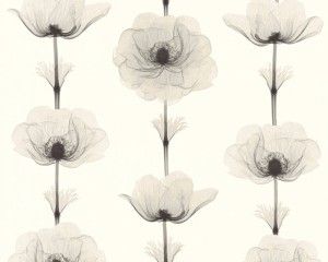 Tapeta X-RAY 34273-4