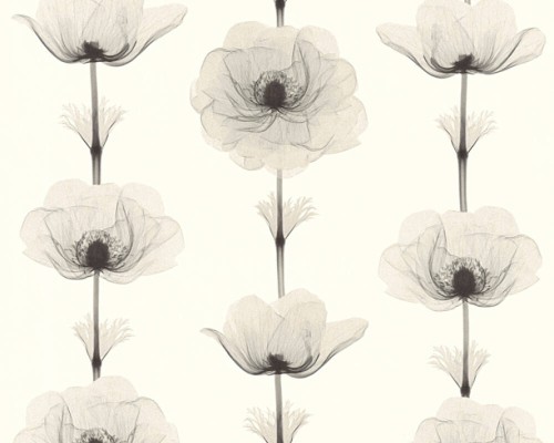 59df6d58f112e5e942f481f3783565cc