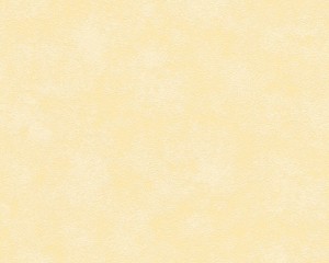 Tapeta Skandinavian 34304-5