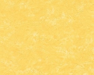 Tapeta ARCHIWUM AS 7893-72