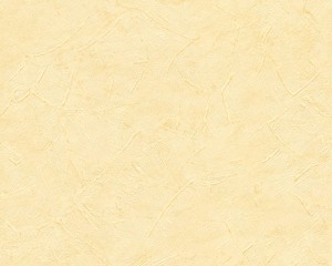 Tapeta Styleguide Naturlich 9925-36