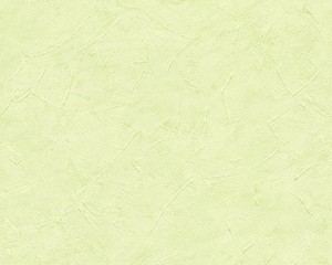 Tapeta Styleguide Naturlich 9925-43