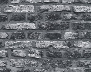 Tapeta Black & White 4 36281-2