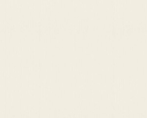 Tapeta MeisterVlies 2020 35067-1