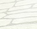 8b2741291f15cd966bc11ddcbd693f6a