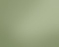 c018c00d77c1019d1c5e4e2020ef2a4c