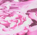 adf26e246785865ca9e788f5fcdcde7c
