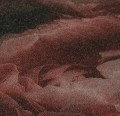 e387151cc7ba79166824419fd8c0333d