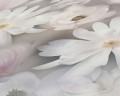 ae42875587495a2b17fccc2d6c85547a