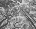 8596d44be3e092c68408e964ac028267