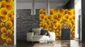caf3d3011fe3e3bc3b6d76790da6d564