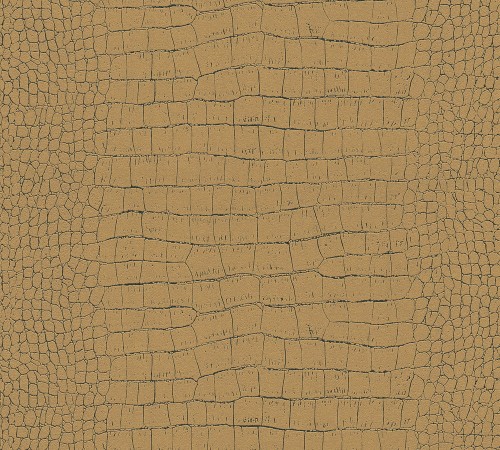 b477382872817e95deeda8424e786722