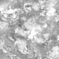 l79859.jpg