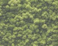622ad293443005eddc25670f06457146