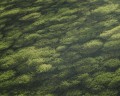 90d546184b299b3176e350383ec15732