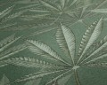 5f7053affd085180aedc20de251dd06e