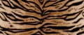 e284158a1bc34084140eca72e4fe1522