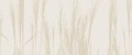 4cd0382cecde7a95d34ab9c29ed1eb75