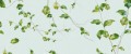 62240a8e08b538821d01696d62dfcfc4