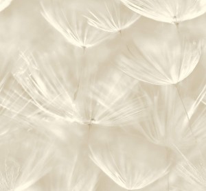 Tapeta DMUCHAWCE ECRU 210901 GRANDECO 24H